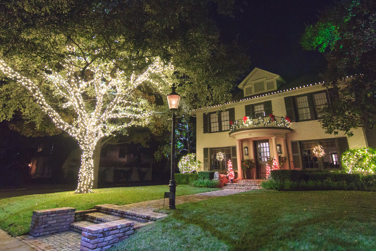 The Best Christmas Tree For Your Home