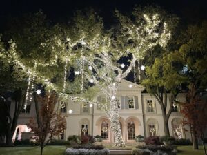 Patton Christmas Designs by Yvette Dallas